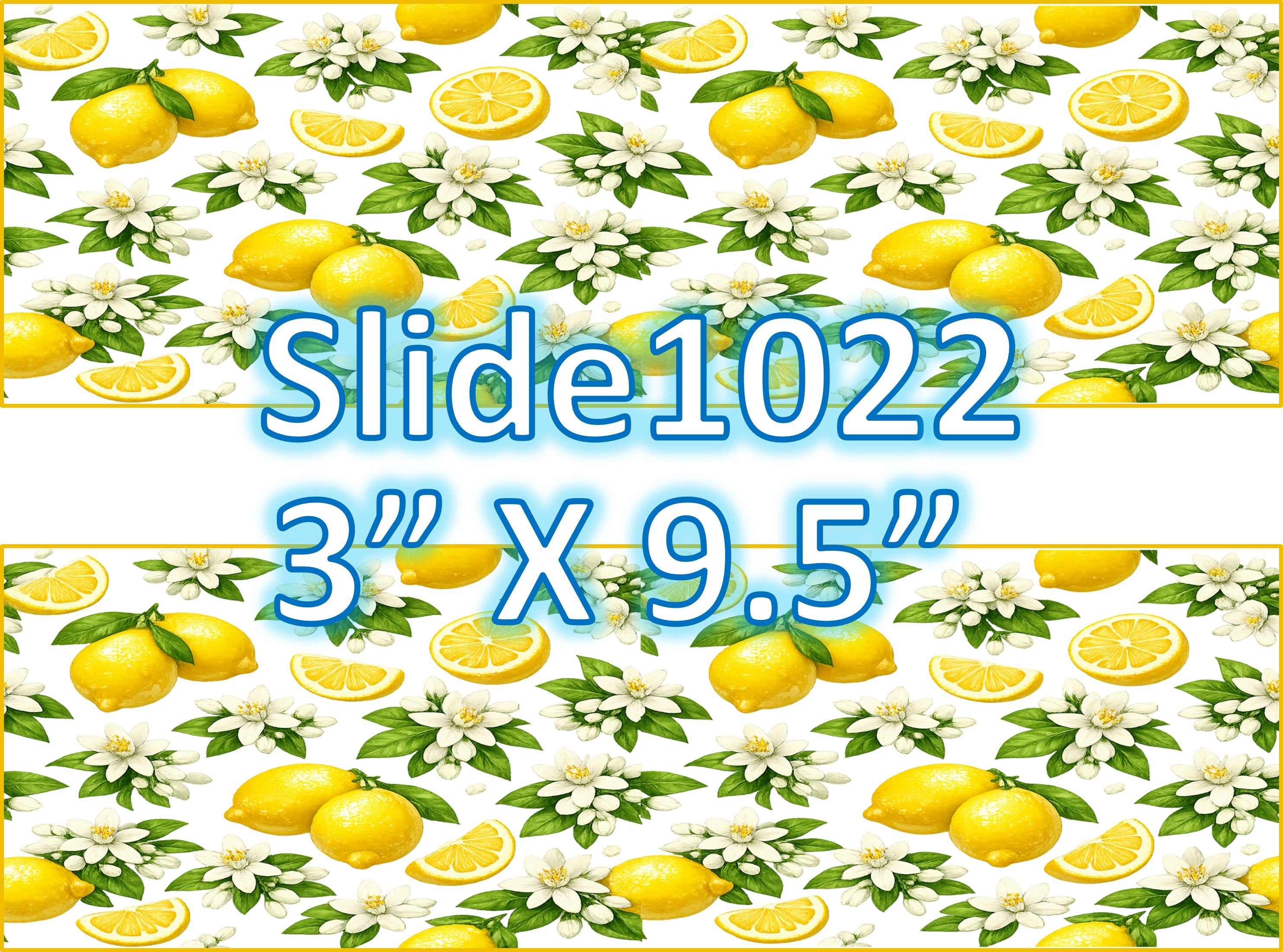 Edible sugar sheets for dessert decoration, (fruit designs) 2 strips of 3” X 9.5”