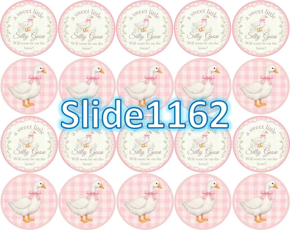 Hoja con 20 círculos Silly Goose para baby shower, con gansitos de lazo rosa y fondo de cuadros rosa.
